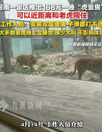 虎景房你敢住吗